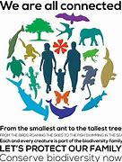 Image result for Biodiversity Posters