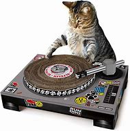 Image result for Cat Scratching Toys