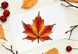 Image result for Maple Leaf Design