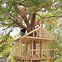 Image result for Tree House