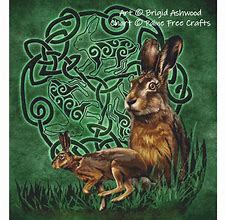 Image result for Irish Celtic Dragon