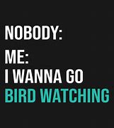 Image result for Bird Watch Meme