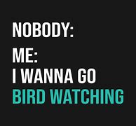 Image result for Bird Watch Meme