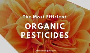 Image result for Organic Pesticides