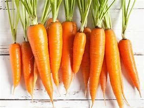 Image result for Carrot