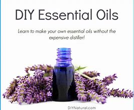 Image result for Things to Make with Essential Oils