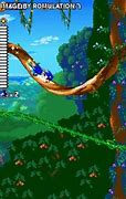 Image result for Sonic Rush Gamepkay