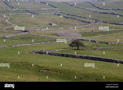 Image result for Yorkshire Dales Stone Walls