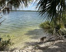 Image result for Apollo Beach Nature Preserve