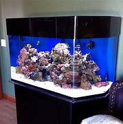 Image result for 150 Gallon Aquarium