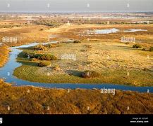 Image result for Okavango Delta Botswana Windows Background