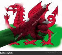 Image result for Welsh Dragon USA Flag