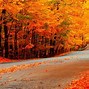 Image result for October Fall