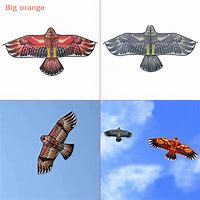 Image result for Orange Kite Flying