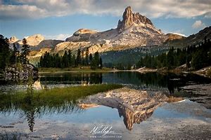 Image result for Lago Fod