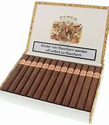 Image result for Cigars for Kids