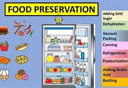 Image result for Curing Food Preservation