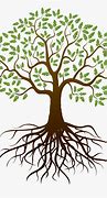 Image result for Plant Root and Shoot Clip Art