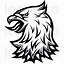 Image result for Black and White Hawk