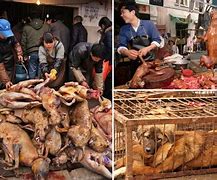 Image result for Dog Meat in Nigeria