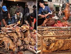 Image result for Dog Meat Market in China