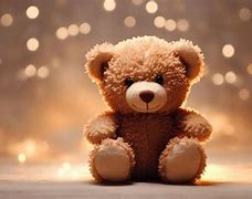 Image result for Teddy Warm Pad