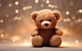 Image result for Heatable Teddy