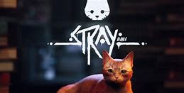 Image result for Stray Game Wallpaper 4K