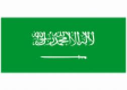 Image result for Saudi Arbia Logo