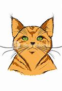 Image result for Orange Tabby Cat Drawing