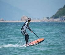 Image result for Log Surfboard