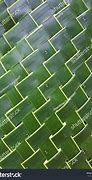 Image result for Coconut Leaf Kites