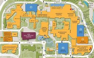 Image result for Michigan Universities Map