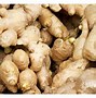 Image result for Turmeric Ginger Plant