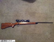 Image result for 243 Bolt Action Rifle