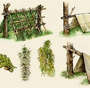 Image result for Survival Shelter Building