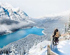 Image result for Village of Lake Louise Canada