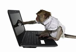 Image result for monkey mind meditation