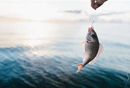 Image result for Catching Fish in Small Boat