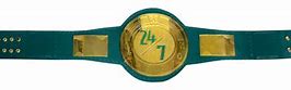 Image result for DDD WWE Belt