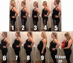 Image result for 7 Week Baby Bump