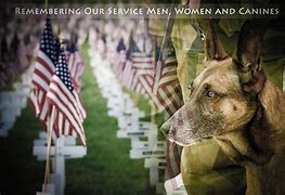 Image result for Memorial Day Dog