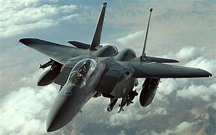 Image result for F-15 Back View