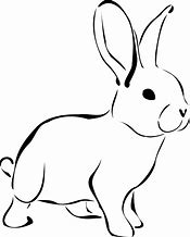 Image result for Pet Bunny Rabbit