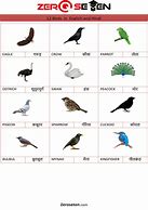 Image result for Backyard Birds Pictures and Names