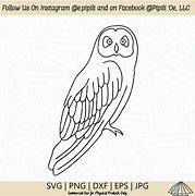 Image result for Pueo Owl Art