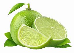 Image result for Lime Tree PNG