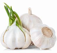 Image result for Pic of Garlic