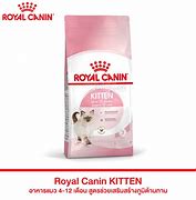 Image result for Royal Canin Australian Shepherd