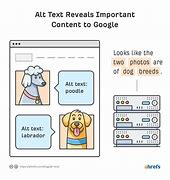 Image result for Alt Text to Images